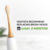 PONPACE Bamboo Electric Toothbrush Replacement Heads with Plant-Based Bristle Compatible with Philips Sonicare 4 Pack (Waved Soft Bristle)