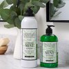 Archipelago Botanicals Morning Mint Hand Wash, Gentle, Daily Hand Soap, Cleanse and Hydrate (17 fl oz)