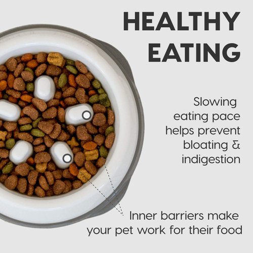 IRIS USA 4 Cups Slow Feeder Dog Bowl, Anti-Choking, Anti-Slip, Easy to Clean, Interactive Puzzle Toy, Healthy Digestion, Short snouted, Dogs Cats & Other Pets, BPA, PVC, Phthalate Free, White/Gray