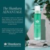 Shankara Body Massage Oil for Massage Therapy - Muscle Release Oil for Sore Lymphatic Pain Relief - Warming Massage Oil with Arnica Oil, Boswellia, Lavender, Turmeric, Aloe Vera & Sweet Birch (100 ml)