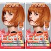 L'Oreal Paris Feria Multi-Faceted Shimmering Permanent Hair Color, C74 Intense Copper, Pack of 2, Hair Dye