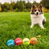 Outward Hound Squeaker Ballz Fetch Dog Toy, Small- 4 Pack