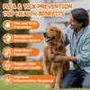 Flea and Tick Prevention for Dogs Chewables - Natural Dog Flea and Tick Treatment Chewable - Oral Flea Supplement for Dogs - Puppy Flea Support - All Breeds & Ages - 180 Soft Chews