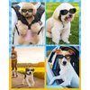 Lewondr Dog Sunglasses Small Breed Dogs Goggles UV Protection,Goggles for Small Dogs Eye Wear Protection with Adjustable Strap Windproof Anti-Fog Sunglasses for Small Dogs Doggy Doggie Glasses,Black