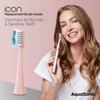 AquaSonic Icon Replacement Brush Heads | Compatible with AquaSonic Icon Toothbrush | 2 Brush Heads | for Normal & Sensitive Teeth (Blush)