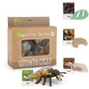BOTICAKO Montessori Life Cycle Learning - Montessori Life Cycle Animal Figures with Flash Cards, Plastic Insects Monarch Butterfly Kit Caterpillar Toy for Kids, Realistic Animal Figurines (Bee)
