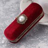 Cabilock Fashion Retro Velvet Lipstick Box Lip Balm Organizer Bag Durable Soft Cosmetic Storage Case with Mirror (Red)