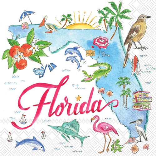 IHR Ideal Home Range Cocktail Napkins Rosanne Beck State Collection Disposable 3-Ply Paper Party Napkin Pack, 5" x 5", Florida, 20-Count