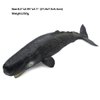 Wei Long Sea Animals Simulation Ocean Whale Toy Model Figures Toy Model Birthrday Gift Party School Project Favors Toys for Kid Boys Girls(Sperm Whale)