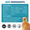 Chewable Flea Treatment for Cats Flea and Tick Prevention for Cats Chewables Fleas Chewables for Cat of All Breeds and Ages 400