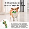 QWKNY Durable Dog Chew Toy for Small Dogs - Spiked Bone Design, Dental Care Anxiety Relief, Interactive Chewing Exercise, Safe for Puppies Small Breeds, Teething and Gum Massaging