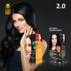 D de la Vega Color, Hair Dye Kit, Black 2.0, 2 boxes