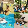 Nobleza Dog Tennis Balls 12 Pack, Durable Bouncy Floatable Squeaky Tennis Balls for Dogs for Fetch & Exercise, Training Interactive Natural Rubber Squeaky Dog Ball for Small Medium Dogs, 2.5in