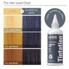 Kiss Tintation Semi-Permanent Hair Color Treatment 148 mL (5 US fl.oz) (Gunmetal Gray)