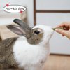 50-60 Pcs Rabbit Chew Toys, Guinea Pig Chew Toys, Hamster Chew Toys, Bunny Chew Toys, Rabbit Chew Toys for Teeth, Sweet Bamboo, Apple Stick, Timothy Stick, Prevent Teeth Overgrowth, Clean Teeth
