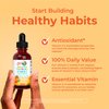 MaryRuth Organics Toddler Vitamin C Drops | USDA Organic Vitamin C Liquid Drops for Toddler | Ages 1-3 Years | Vitamin for Immune Support & Overall Health | Vegan | Non-GMO | Gluten Free | 30 Servings