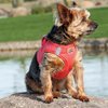 DOGGIE DESIGN American River Step in Wrap Up Ultra Choke-Free Mesh Dog Harness with Safe Night Walking Reflective Strips (Soft Mesh Polyester, Machine Wash and Line Dry) (XS, Coral)