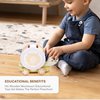 Childlike Behavior Wooden Pull Along Toy - Wood Tortoise and Rainbow Snail - Toddler Pull Behind Toys with Sorting Wheel - Wooden Toys - Stacking Toy Gift for Baby - 7.5 x 10 inch