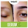 XL Eyebrow & Lash Serum | Oil Blend for Fuller Brows & Longer Lashes | Promotes Natural Eyebrow Growth & Eyelash Growth | 10 ml (0.34 fl oz) 60-Day Supply