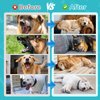 Melatonin for Dogs–Dog Sleep Aid–Anxiety Relief for Dogs, Stress, Calming, Relaxation & Sleep Support–Liquid Dog Melatonin 2Pack 2oz (60ml)