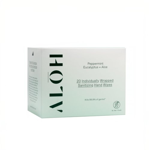 ALŌH Skin - Softening Sanitizing Hand Wipes - Peppermint Eucalyptus + Aloe (1 Box of 20 Individual Wrapped Wipes)