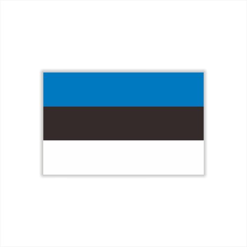 Womaha 30 Temporary Estonia Flag Tattoos Fans Face Tattoo Stickers for Adults Kids Group Activity Props