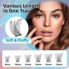 MH Cluster Eyelash Extensions Kit Lash Clusters Kit Lash Clusters with 12ML Bond and Seal Waterproof, 12ML Lash Remover, Lash Tweezers for DIY Lash Extension Kit (168PCS, 8-18mm)