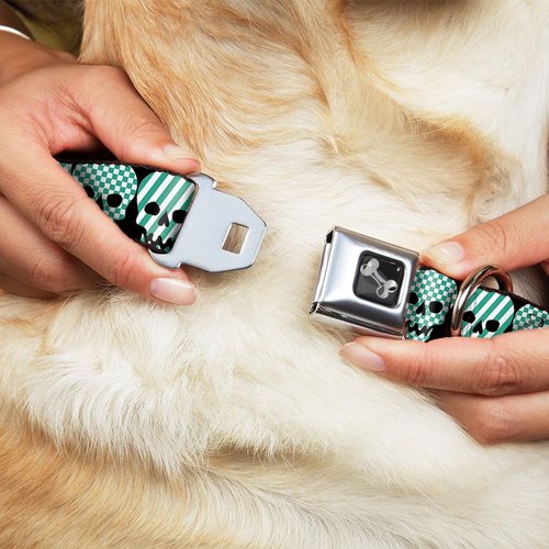 Buckle-Down Seatbelt Buckle Dog Collar - Checker & Stripe Skulls Black/White/Green - 1" Wide - Fits 11-17" Neck - Medium