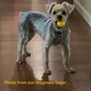 IDOGMATE 1.75" Durable Balls for Dogs, Ball Dog Toy for Small Launcher, Dog Balls,Durable, Washable (4pcs)