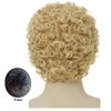Amnenl Mens Light Blonde Afro Curly Short Wig Fluffy Synthetic Rocker Funcy Male Hair Wig Halloween Cosplay Costume Wig