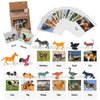 MEROCO 24pcs Farm Animal Flash Cards for Toddlers with Figurines Animal Matching Game Learning Cards Travel Game Preschool Learning Science Toys for Kids Plastic Materials
