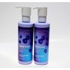 Bath and Body Works Blueberry Extract Body Lotion Set