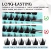 Hermosa Charlotte Charm Lash Clusters 40D-D-8-16MIX 72 Clusters False Eyelash 20D 30D 40D Individual Lashes Cluster DIY Eyelash Extensions at Home HMFD14