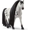 Schleich Horse Club Sofia's Beauties, Knabstrupper Stallion Beauty Horse with Brushable Hair - 8pc Styling Horse Figurine and Playset Accessories for Boys and Girls, for Kids Ages 4+