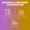 OneLAX - Senna Syrup | Natural Vegetable Laxative (8fl.oz Bottle) Natural Chocolate Flavor, for Gentle, Relief of Constipation
