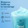 Dead Sea Salt Scalp Scrub, Clarifying Scrub with Plant-Based Essences, Scalp Exfoliator for Oily Scalp, Dandruff & Build-Up Remover, Itchy Scalp Relief Hair Treatment, Nourishing Detox Hair Care