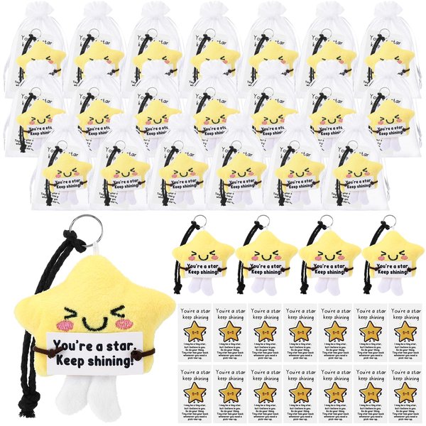 Hotop 20 Set Positive Funny Keychain Mini Emotional Plush Toy Keychain Gift with Affirmation Hand Card and Organza Bag Christmas End of Year Appreciation Gifts for Employee Team (Star)