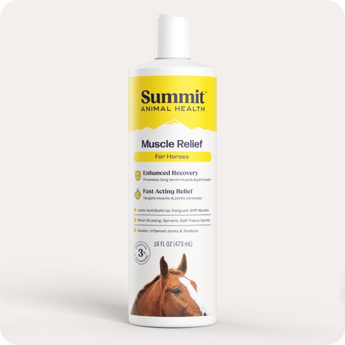 Summit Equine Muscle Relief Gel for Horses – Advanced L-Carnosine Formula for Sore Muscle Recovery, Inflammation Reduction, and Joint Comfort – 16 fl oz