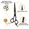 Sightwing Professional Hair Scissors 6.5"-Japnese Hair Cutting Shear, Hair Cutting Scissors, and Hair scissors Professional for Barber & Personal Use