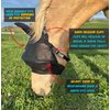 Solar Vizor Horse Fly Mask with Ears (Size Mini),100% UV Eye Protection for Horses with Uveitis, Photosensitivity, Ulcer, Head Shaking, Solid Durable EVA Lining Across The top Half of The Solar Vizor