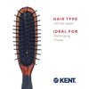 Kent KB Minihog Headhog Detangling Travel Hair Brush, Black Rubber Cushion Detangler Brush and Scalp Brush with Firm Rounded Plastic Bristles for Women Men and Kids Everyday Care, Made in England
