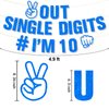 Ushinemi Glitter 10th Birthday Decorations, Peace Out Single Digits I’m 10 Double Digits Birthday Party Supplies for Boys, Blue Happy 10th Birthday Banner