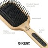 Kent PF18 Medium Cushion Paddle Brush - Detangling for Fine, Long, Thick and Curly Hair, Scalp Massager and Growth Stimulator, Wet or Dry Use. Made in England