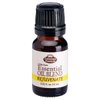 Fabulous Frannie Rejuvenate Pure Essential Oil Blend with Grapefruit, Juniper, Cedarwood and Clary Sage10ml (.33oz)