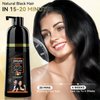 Ofanyia Black Hair Dye Shampoo, Black Hair Shampoo for Gray Hair Coverage, Herbal Ingredients Instant Black Hair Dye Shampoo for Women Men, 3 in 1 Black Hair Dye Shampoo 3 In 1, 420ML/14.2FL.OZ
