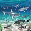 15 Pcs Shark Toys Plastic Assorted Ocean Animal Shark Figurine Realistic Shark Bath Toys Sea Creature Toys Shark Figures Marine Animal Figurines for Kids Birthday Party Favor Cake Topper Cognitive Toy