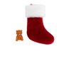 The World's Smallest Elf on The Shelf Boy with Matching Small Christmas Stocking and Two Elf on The Shelf Hot Chocolate Cocoa Mix Packs