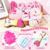 RoundFunny 11 Pcs Dog Birthday Toy Dog Birthday Cake Puppy Teething Toys Girl Boy Squeak Toys Interactive Dog Toys Dog Birthday Gift with Box for Puppy Small Medium Size(Pink)