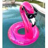 Coconut Outdoor Flamingo with Shades Pool Float – Inflatable Pool Ring – Durable Long Lasting Lounge Tube and Water Toy – Fun Decoration for Parties, Events – Ages 8+ Years
