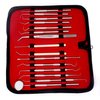 Dental Care Set Dentist Tools Kit of 15 Pcs Professional Calculus and Plaque Remover Dental Hygiene Set Made of Stainless Steel Tarter Scraper, Tooth Pick and Mouth Mirror for Teeth Cleaning